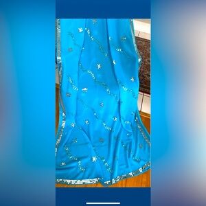 Like new sequins indian/Pakistani party wear saree